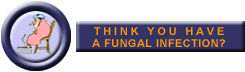 Think You Have A Fungal Infection?